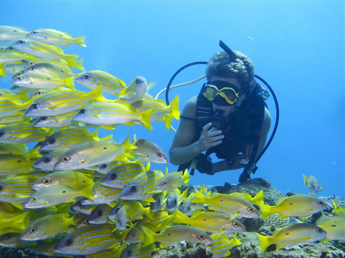 Coral Divers Sodwana Bay Exterior photo
