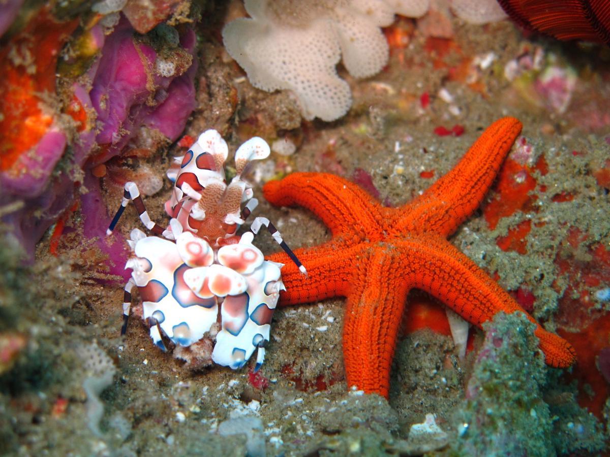 Coral Divers Sodwana Bay Exterior photo